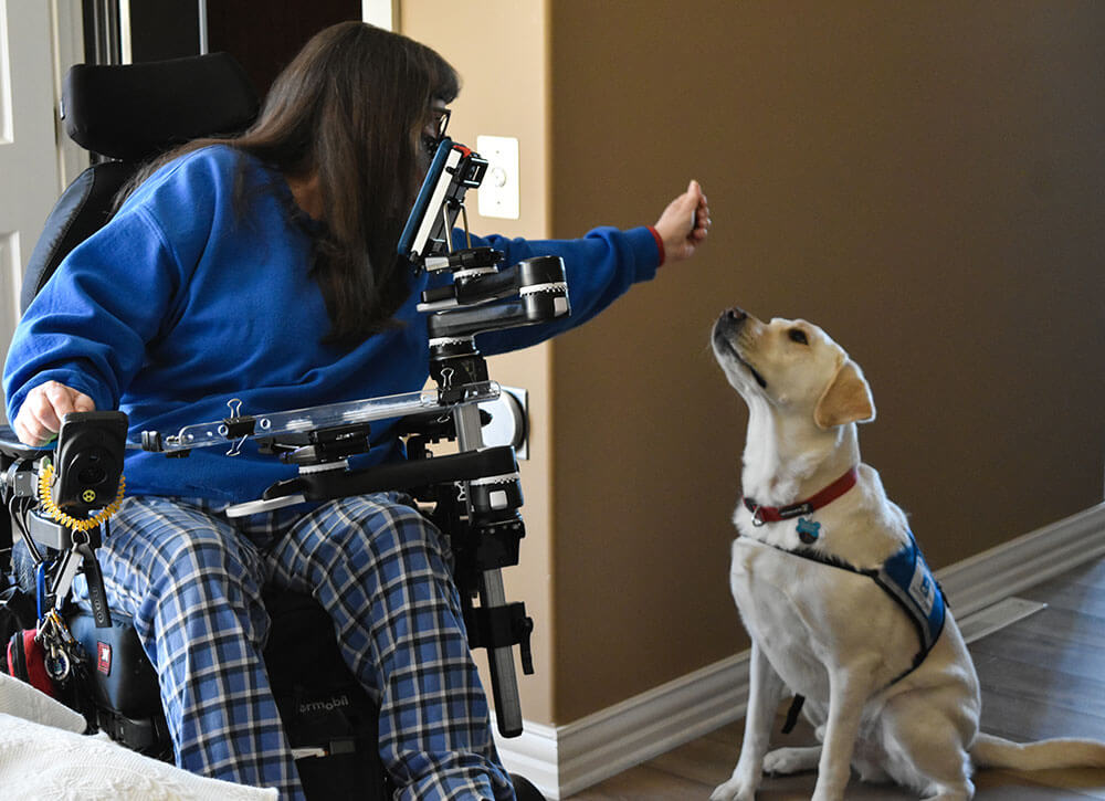 woman in wheelchair with yellow lab