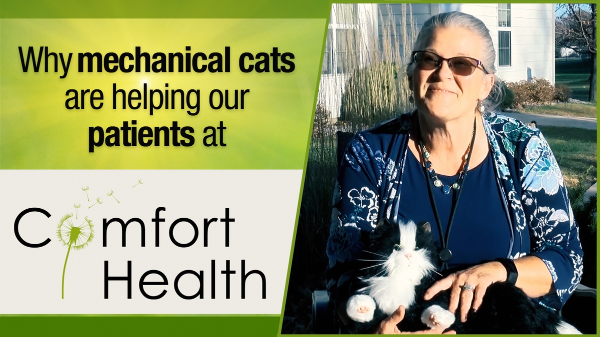 video thumbnail for Mechanical Cat - Helping Residents with Alzheimer's